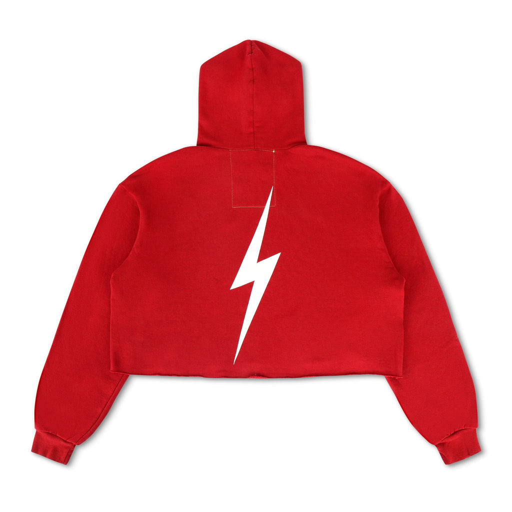 Retro UNIVERSITY OF ALABAMA CROPPED PULLOVER HOODIE - CRIMSON