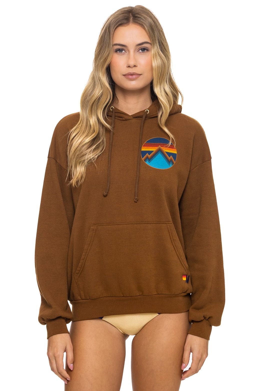 Retro ALL SEASONS RELAXED PULLOVER HOODIE - CINNAMON