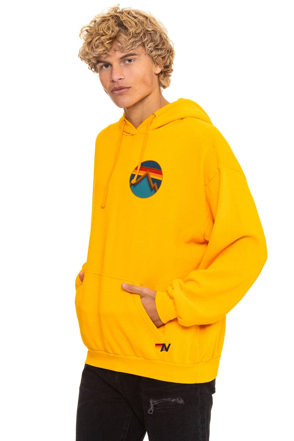 Retro ALL SEASONS RELAXED PULLOVER HOODIE - GOLD