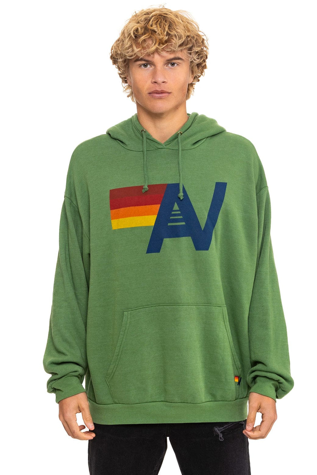 Retro LOGO PULLOVER RELAXED HOODIE - PALM