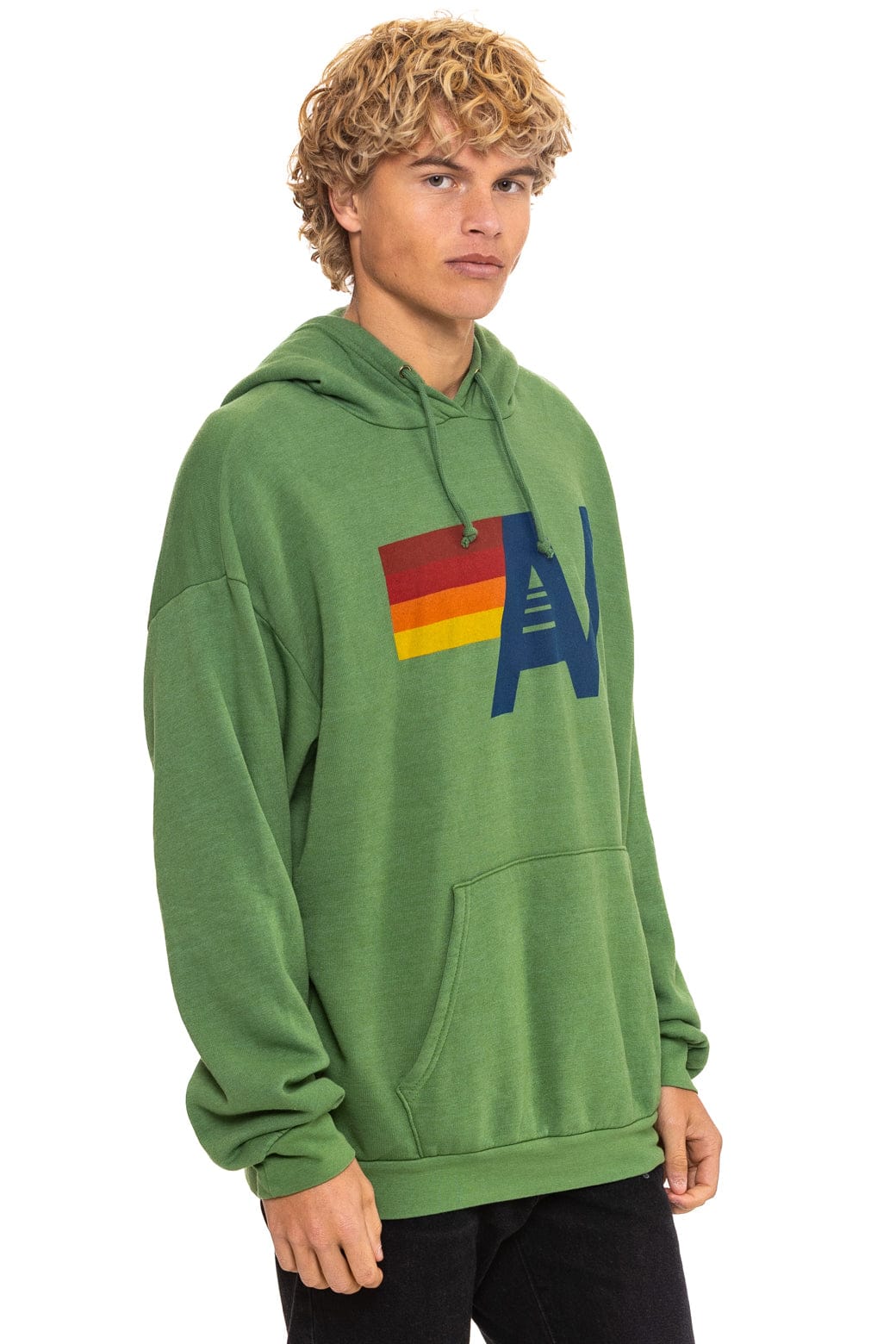 Retro LOGO PULLOVER RELAXED HOODIE - PALM
