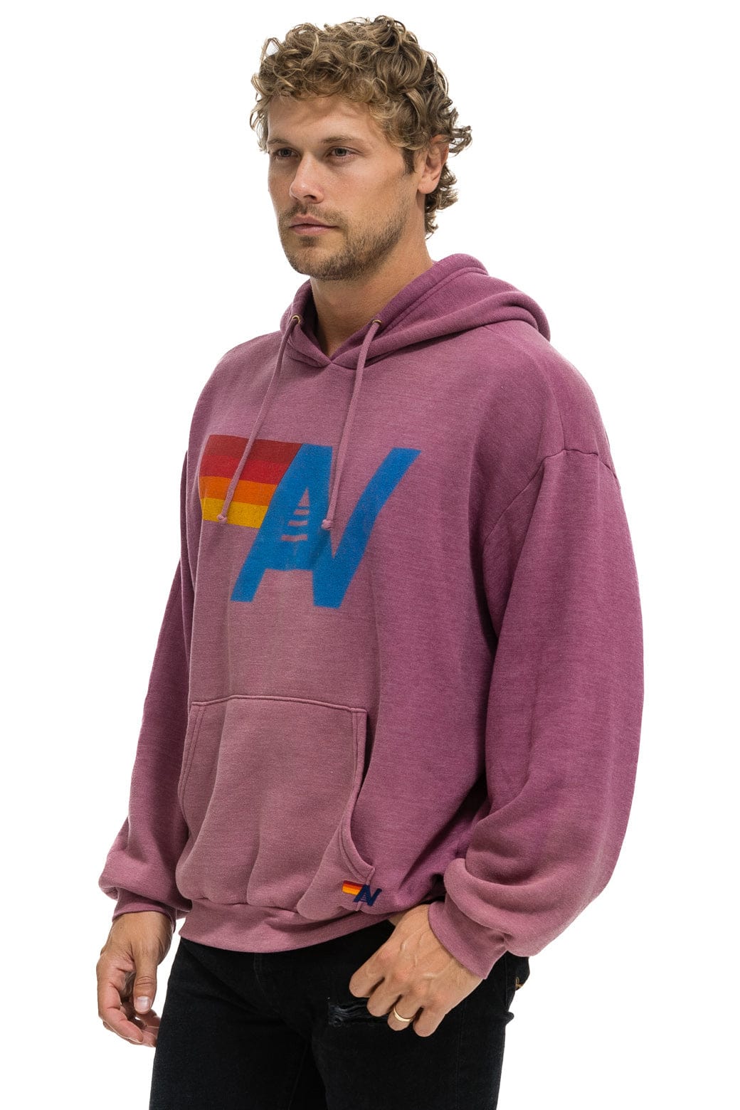 Retro VINTAGE LOGO RELAXED PULLOVER HOODIE - FADED BERRY