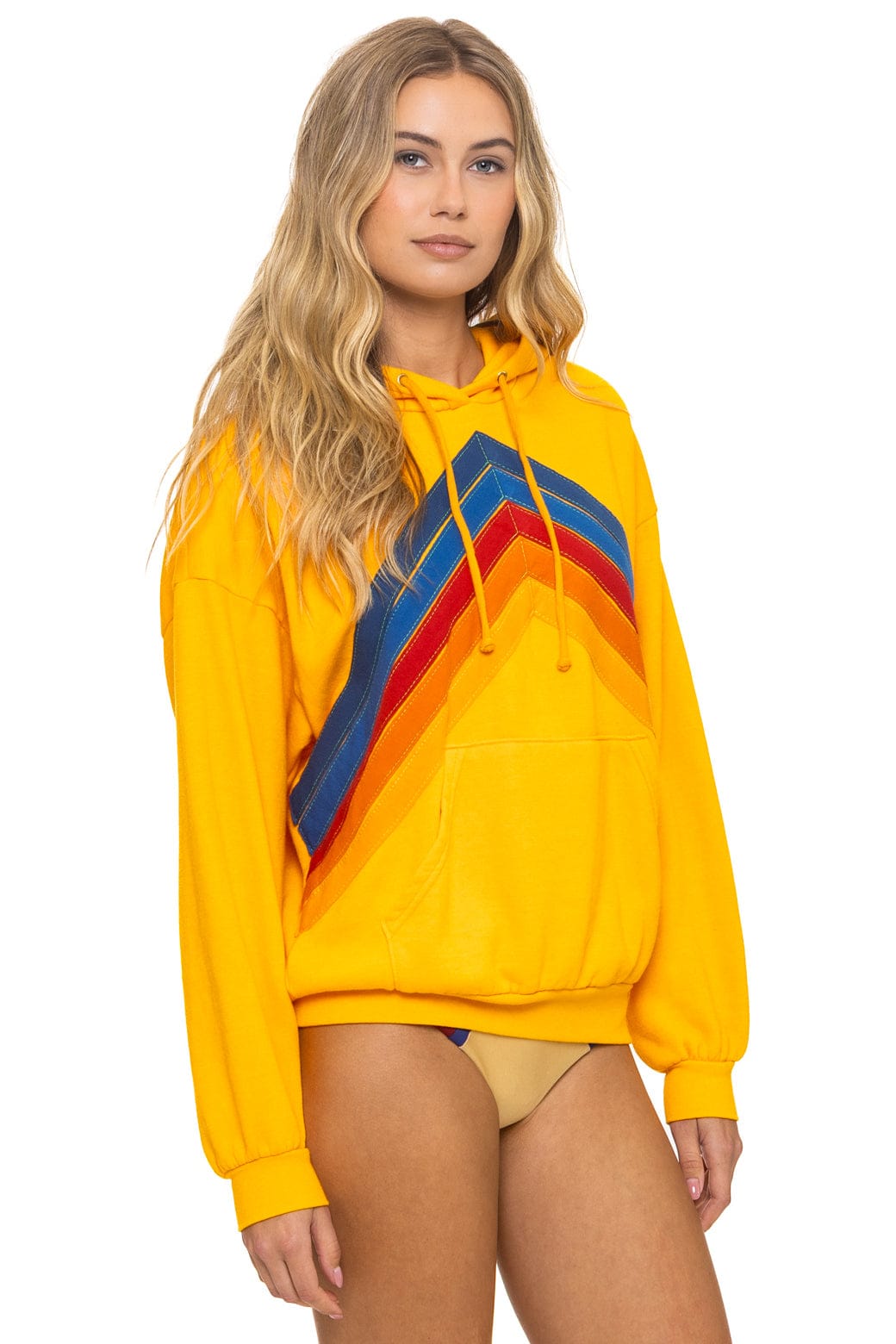 Retro MOUNTAIN STITCH CHEVRON PULLOVER HOODIE RELAXED - GOLD