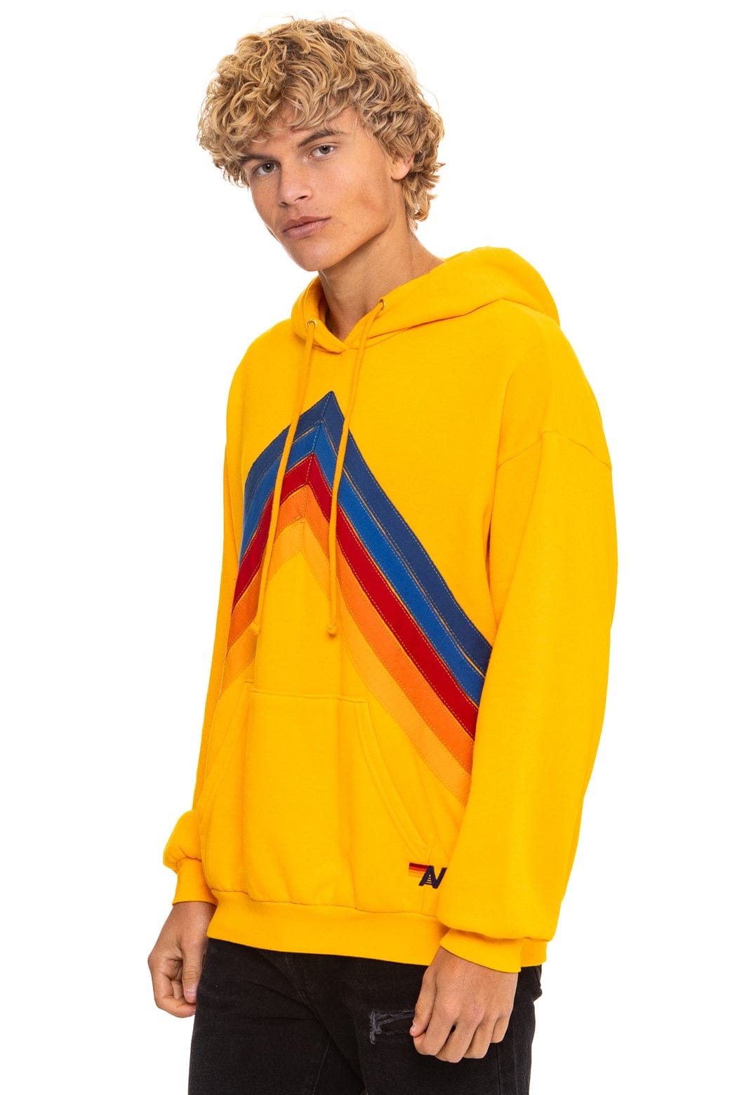 Retro MOUNTAIN STITCH CHEVRON PULLOVER HOODIE RELAXED - GOLD