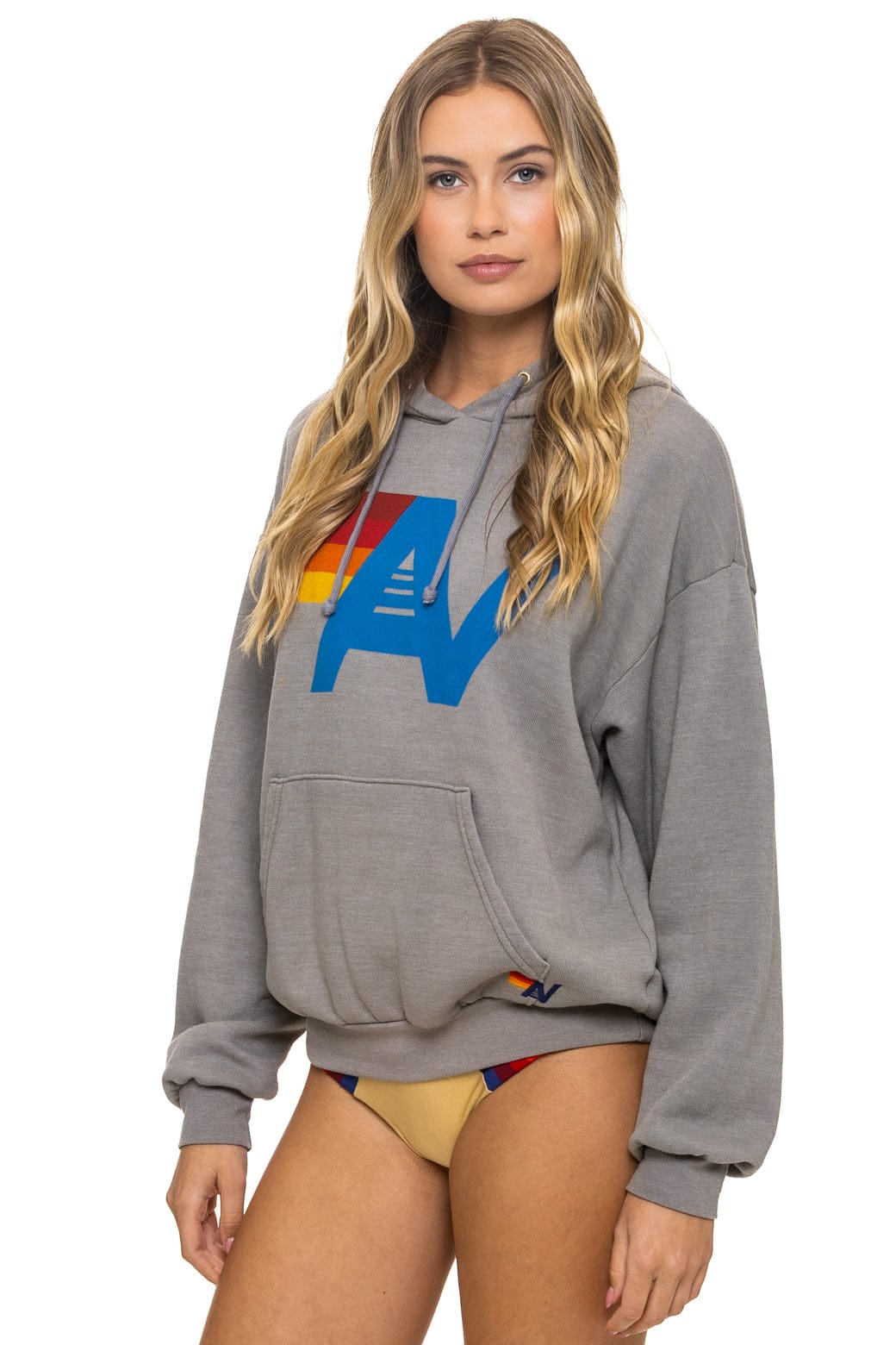 Retro LOGO PULLOVER RELAXED HOODIE - SLATE