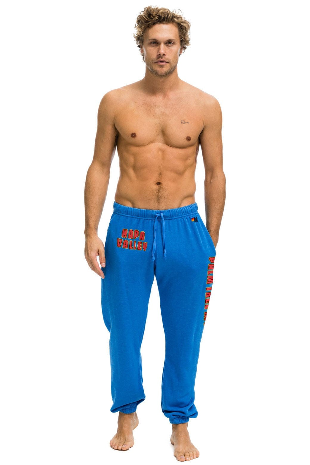 Retro PALM TREE FEST NAPA 2025 UNISEX SWEATPANTS - ADVENTURE BLUE