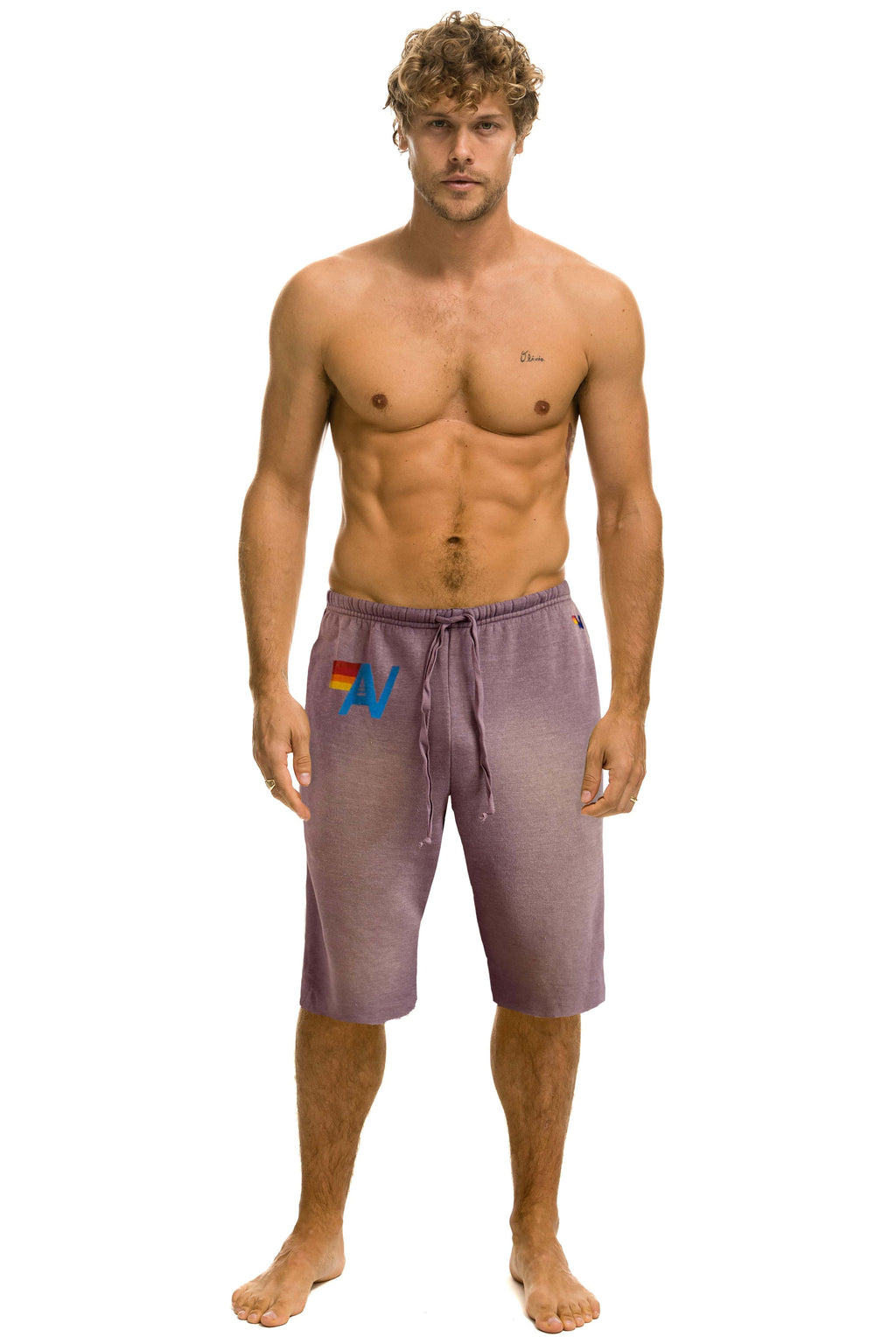 Retro VINTAGE LOGO SWEATSHORTS - FADED MOCHA