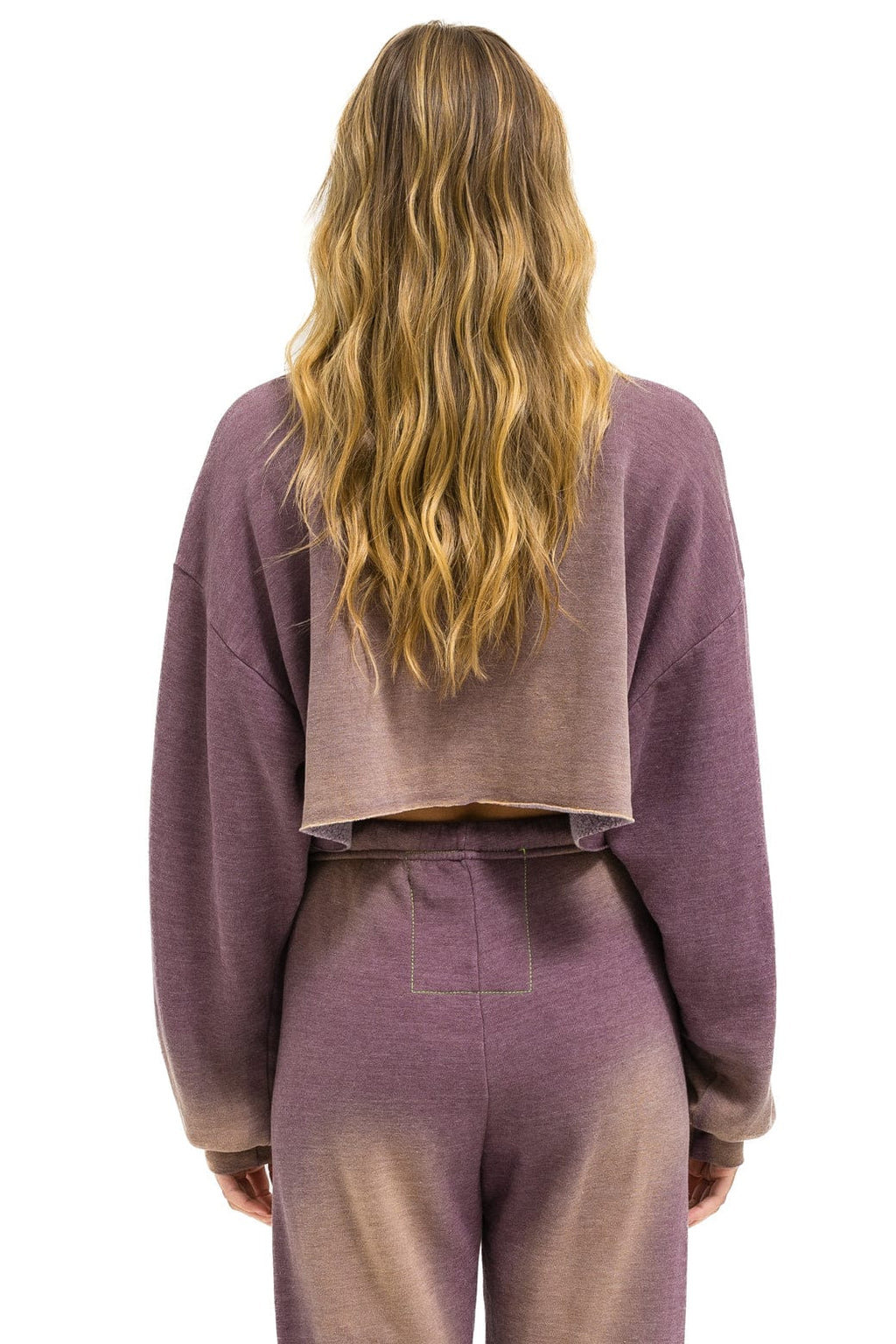 Retro VENICE SURFER CROPPED CREW SWEATSHIRT RELAXED - FADED MOCHA