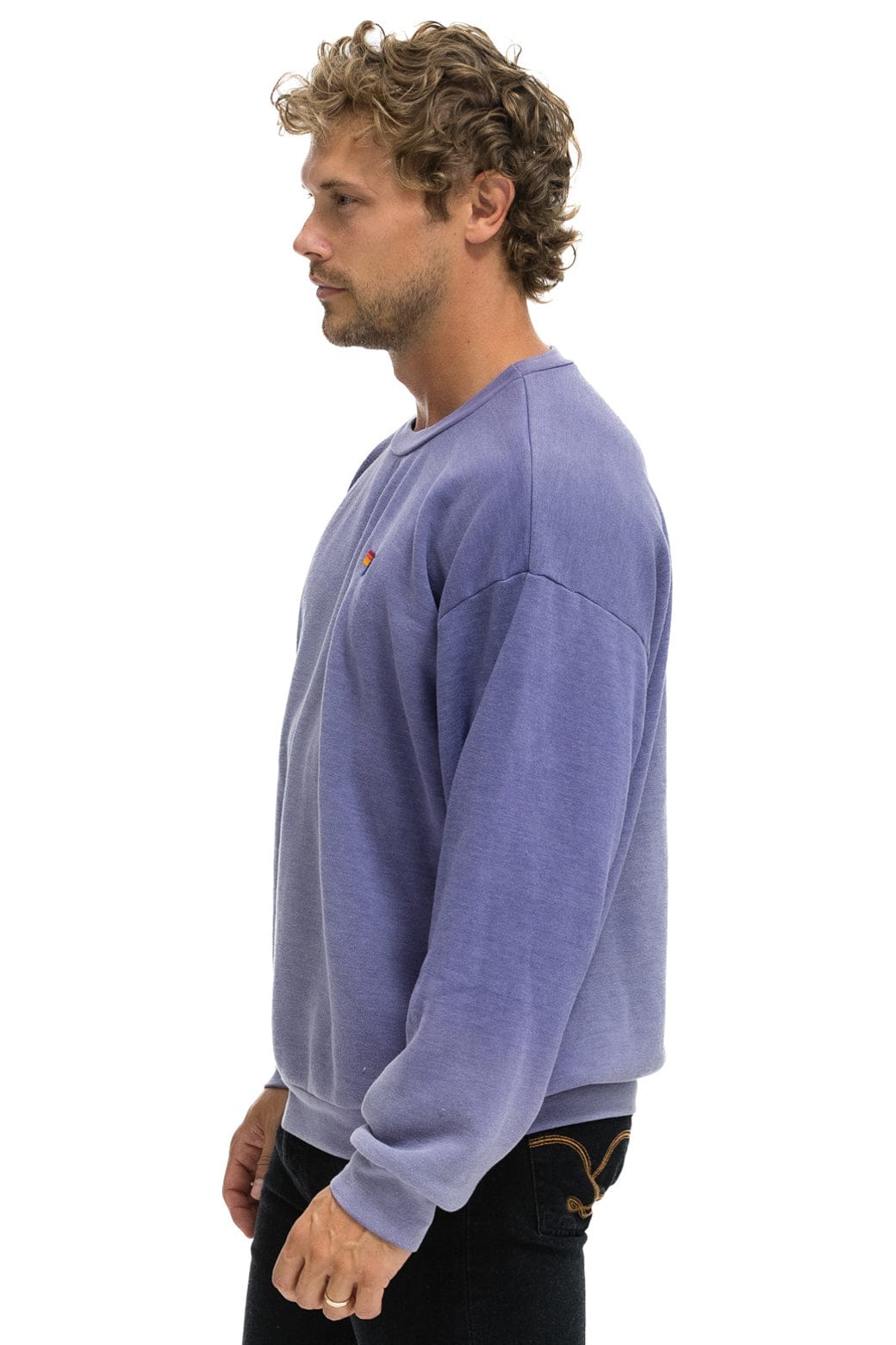 Retro ESSENTIAL RELAXED CREW SWEATSHIRT - FADED GRAPE