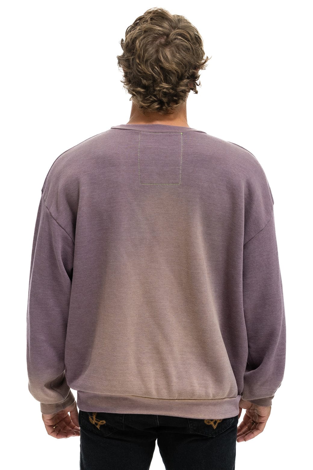 Retro WATER SKIER RELAXED CREW SWEATSHIRT - FADED MOCHA