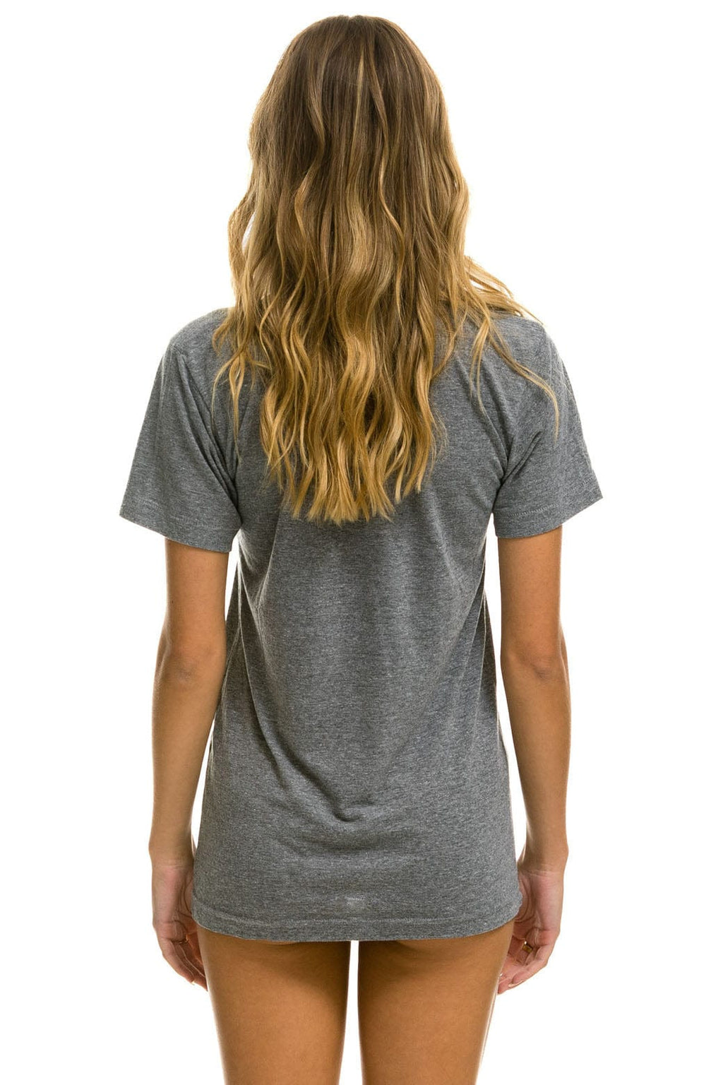 Retro AVIATOR NATION VAIL TEE - HEATHER