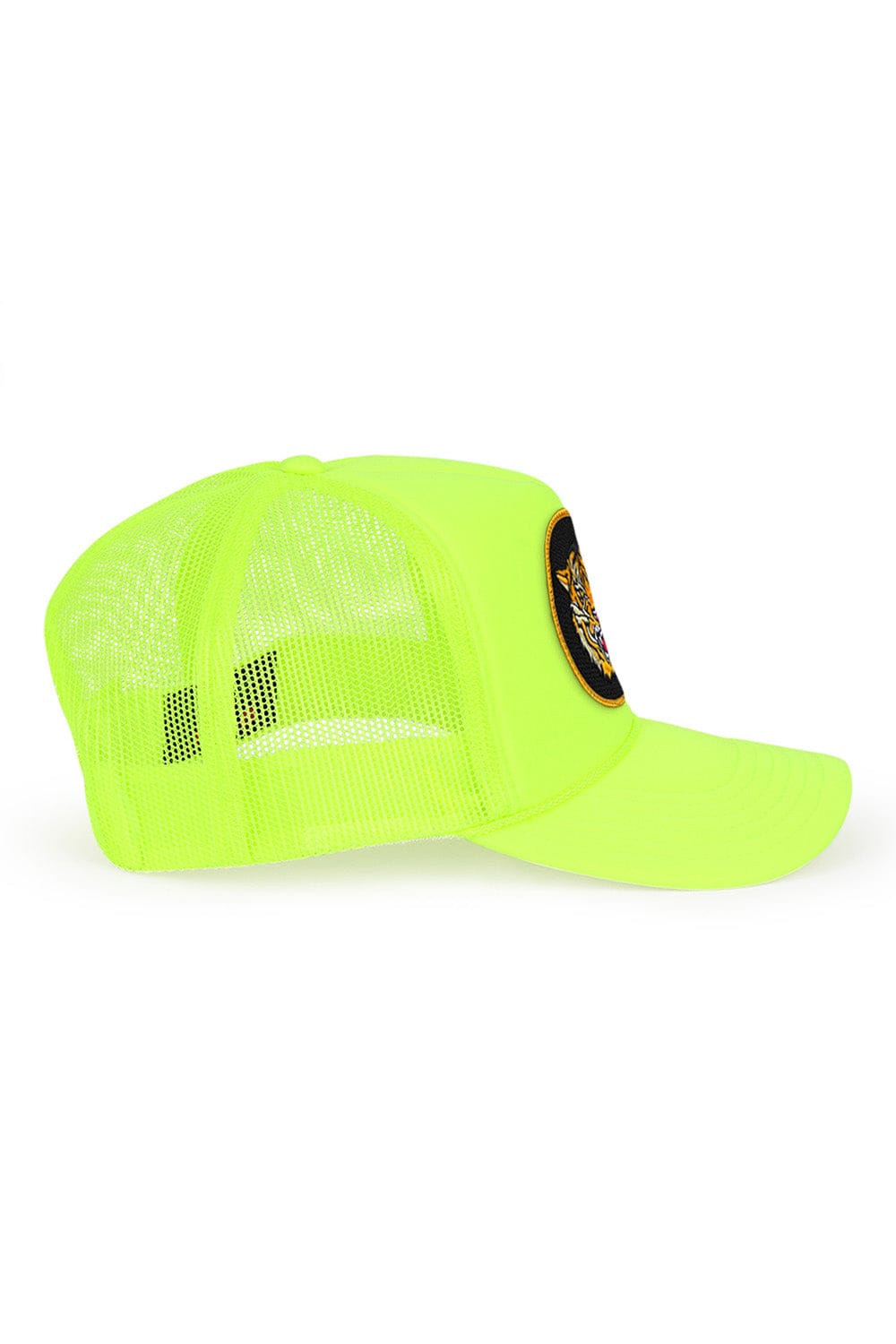Retro DREAMLAND TIGER - VINTAGE LOW RISE TRUCKER