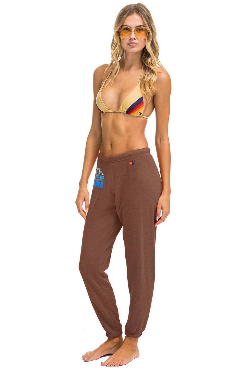 Retro PALM TREE FESTIVAL ASPEN 2025 UNISEX SWEATPANTS - BROWN